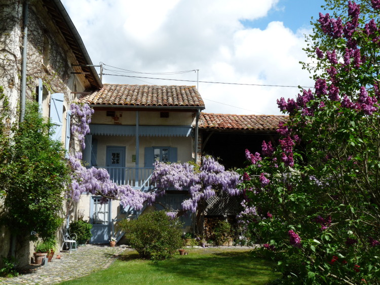 La glycine