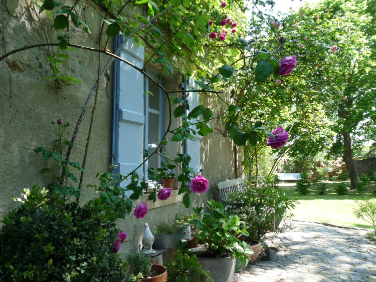 Das wohnzimmer-fenster