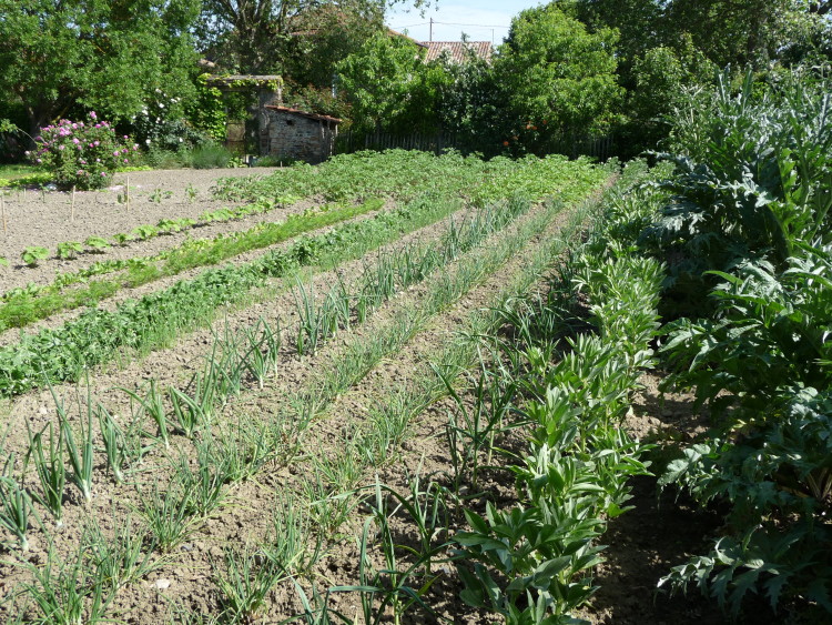 El jardín