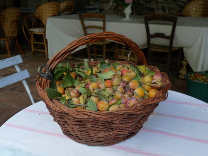 Vegetable garden