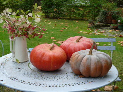 Vegetable garden